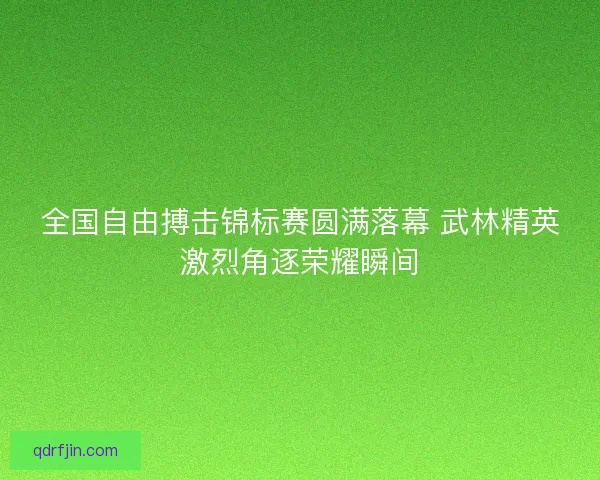 全国自由搏击锦标赛圆满落幕 武林精英激烈角逐荣耀瞬间